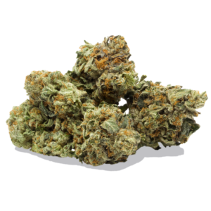 Master Kush